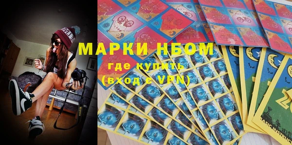 индика Алексин