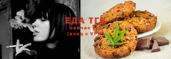 индика Алексин