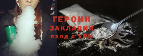 индика Алексин