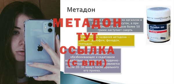 индика Алексин