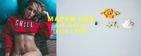 индика Алексин