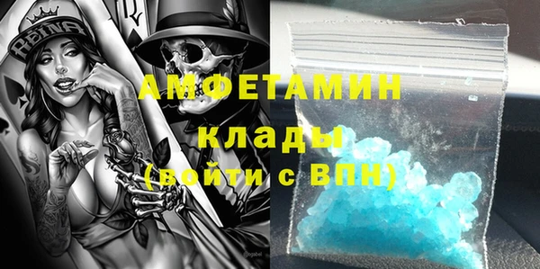 индика Алексин