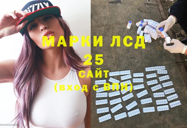 индика Алексин