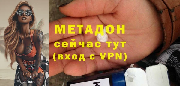 индика Алексин