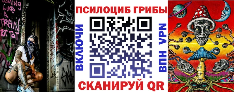 как найти закладки  Чусовой  Псилоцибиновые грибы Psilocybe 